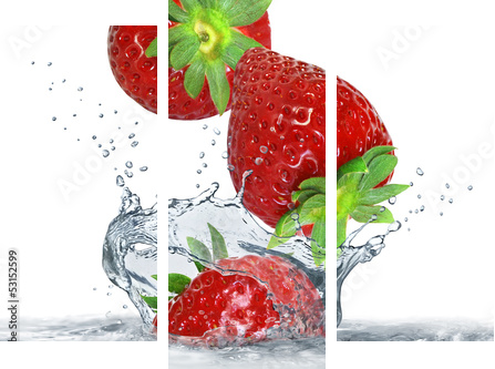 Obst 317 - Dreiteiliges Leinwandbild, Triptychon