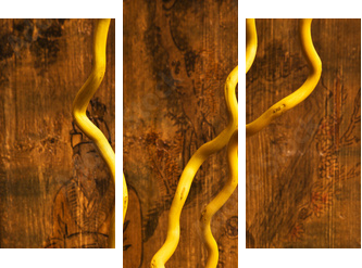 Dekoracyjne wazy
 - Dreiteiliges Leinwandbild, Triptychon