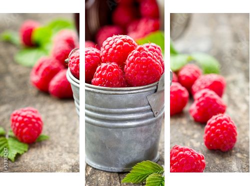 Fresh raspberry - Dreiteiliges Leinwandbild, Triptychon