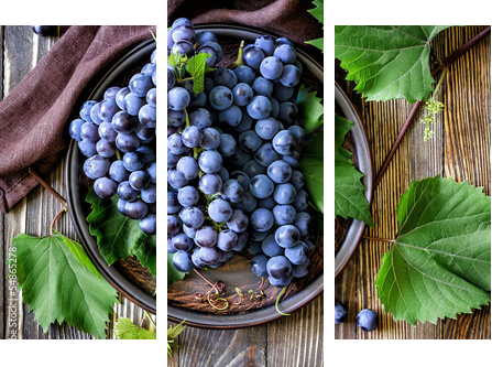 Grape - Dreiteiliges Leinwandbild, Triptychon