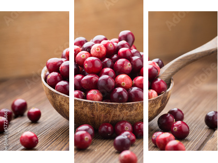 Cranberries.  - Dreiteiliges Leinwandbild, Triptychon