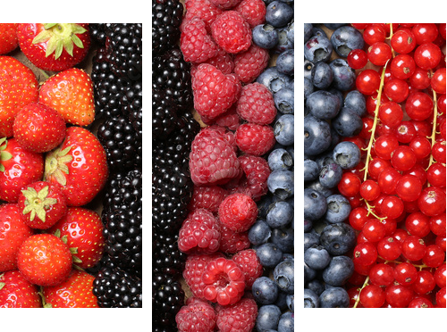Frische Beeren FrÃ¼chte Hintergrund - Dreiteiliges Leinwandbild, Triptychon
