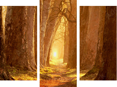 magic path - Dreiteiliges Leinwandbild, Triptychon