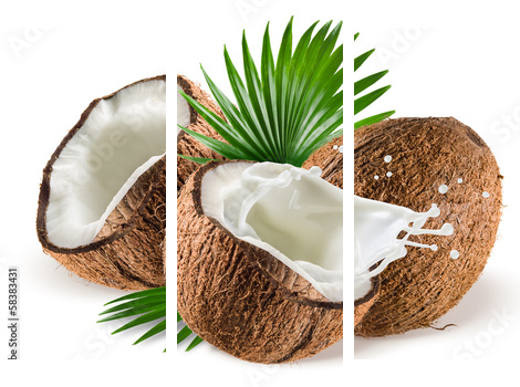 Coconuts with milk splash and leaf on white background - Dreiteiliges Leinwandbild, Triptychon