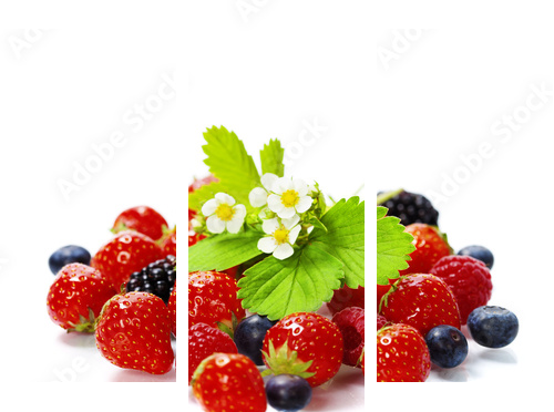 fresh berries - Dreiteiliges Leinwandbild, Triptychon