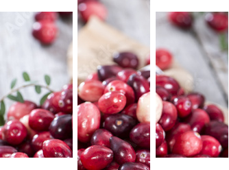 Fresh Cranberries - Dreiteiliges Leinwandbild, Triptychon