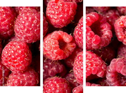 Raspberry fruit background - Dreiteiliges Leinwandbild, Triptychon
