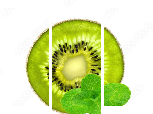 Slice of fresh juicy kiwi and mint herb isolated on white - Dreiteiliges Leinwandbild, Triptychon