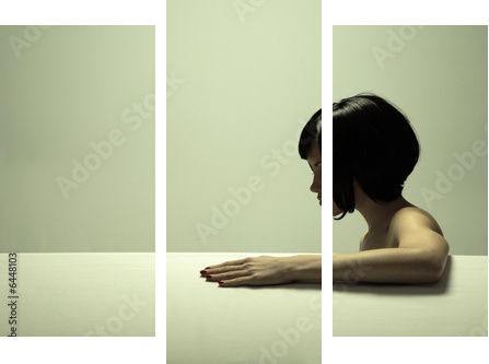 Fine art portrait of elegant girl Studio photo Beautiful woman - Dreiteiliges Leinwandbild, Triptychon