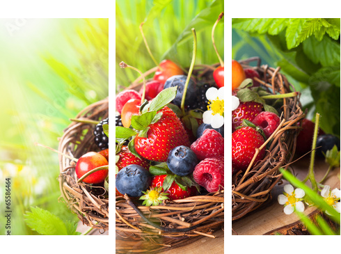 Fresh berries  - Dreiteiliges Leinwandbild, Triptychon