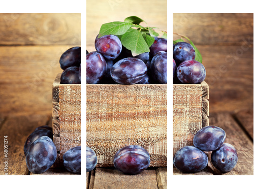 blue pulms  - Dreiteiliges Leinwandbild, Triptychon