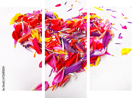 heart of the concept of flower petals on a white background  - Dreiteiliges Leinwandbild, Triptychon