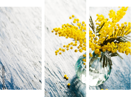 Bouquet of mimosa (silver wattle) in vase on wooden background  - Dreiteiliges Leinwandbild, Triptychon