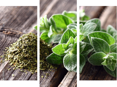 Oregano spices  - Dreiteiliges Leinwandbild, Triptychon