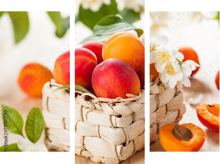 fresh apricots  - Dreiteiliges Leinwandbild, Triptychon
