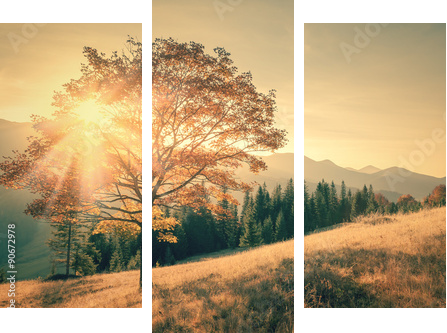 Autumn tree and sunbeam warm day landscape toned in vintage - Dreiteiliges Leinwandbild, Triptychon