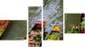 Vierteiliges Leinwandbild - Viertychon