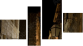 Vierteiliges Leinwandbild - Viertychon