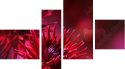 Vierteiliges Leinwandbild - Viertychon