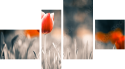 Vierteiliges Leinwandbild - Viertychon