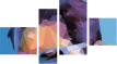Vierteiliges Leinwandbild - Viertychon