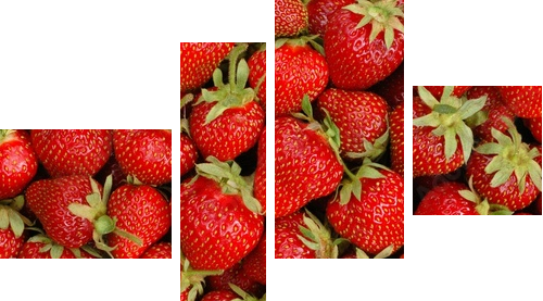 strawberries - Vierteiliges Leinwandbild, Viertychon