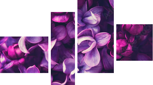 Lilac flowers background - Vierteiliges Leinwandbild, Viertychon