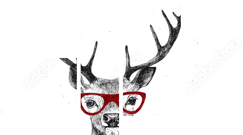 Hand drawn dressed up deer  - Vierteiliges Leinwandbild, Viertychon