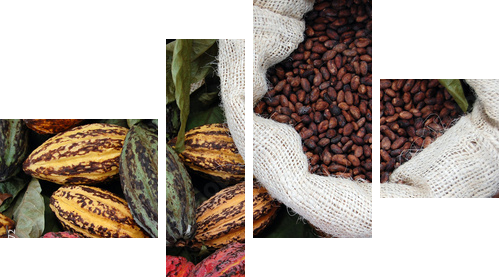 Ziarna kakaowca
 - Vierteiliges Leinwandbild, Viertychon
