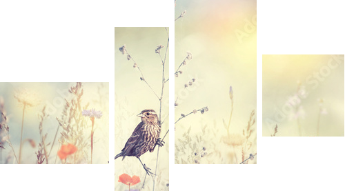 Field with wild flowers and a bird - Vierteiliges Leinwandbild, Viertychon