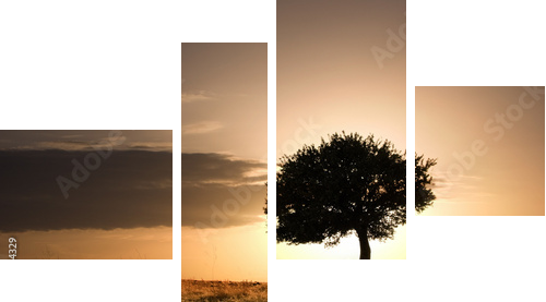 Samotne drzewo i zachód słońca
 - Vierteiliges Leinwandbild, Viertychon