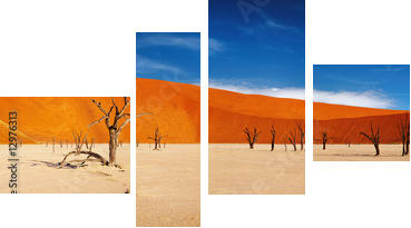 Namib Desert, Sossusvlei, Namibia - Vierteiliges Leinwandbild, Viertychon