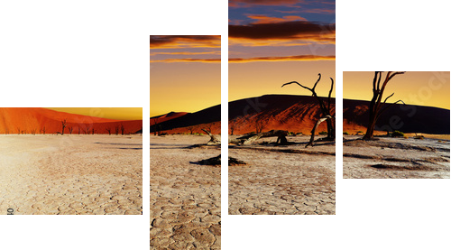 Namib Desert, Sossusvlei, Namibia - Vierteiliges Leinwandbild, Viertychon