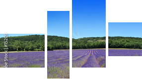 Panorama de provence - Vierteiliges Leinwandbild, Viertychon