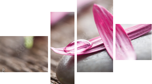 Flower petals - Vierteiliges Leinwandbild, Viertychon