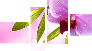 Wellness Motiv mit Orchidee - Vierteiliges Leinwandbild, Viertychon
