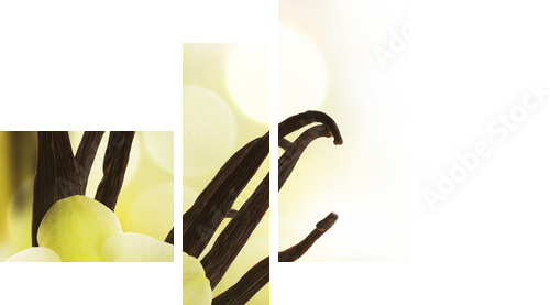 Beautiful Vanilla beans and flower over blurred background - Vierteiliges Leinwandbild, Viertychon