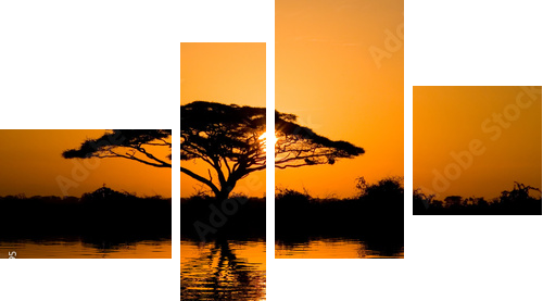acacia tree at sunrise - Vierteiliges Leinwandbild, Viertychon