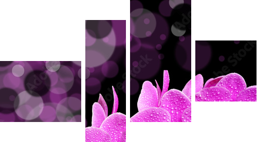 orchid - Vierteiliges Leinwandbild, Viertychon