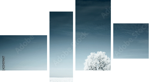 Zimowa łąka otulona białym puchem - Vierteiliges Leinwandbild, Viertychon