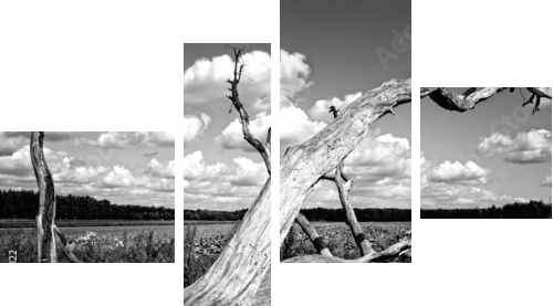 Drzewo - Vierteiliges Leinwandbild, Viertychon