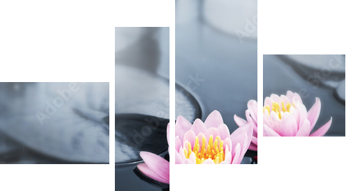 Lotus blossoms - Vierteiliges Leinwandbild, Viertychon