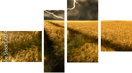 thunderstorm over a golden  barley field - Vierteiliges Leinwandbild, Viertychon