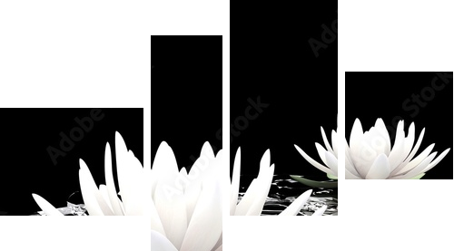 3d lotus on water - Vierteiliges Leinwandbild, Viertychon