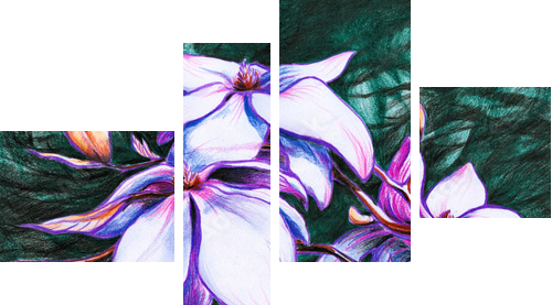 Magnolia koloru pastelowego - Vierteiliges Leinwandbild, Viertychon
