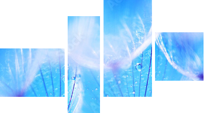 Soft dandelion flowers - Vierteiliges Leinwandbild, Viertychon