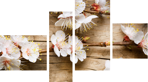 Wood background with spring blossom - Vierteiliges Leinwandbild, Viertychon