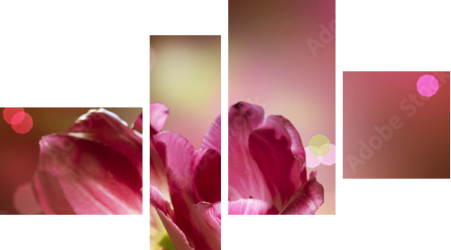Flowers Anniversary Card Design - Vierteiliges Leinwandbild, Viertychon
