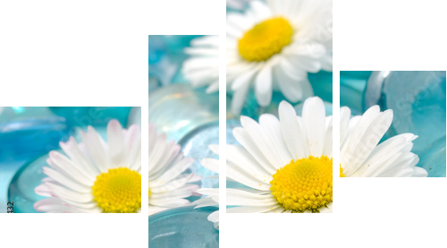 Daisy Flowers on Blue Glass Stones - Vierteiliges Leinwandbild, Viertychon