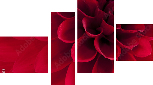 Dahlia - Vierteiliges Leinwandbild, Viertychon